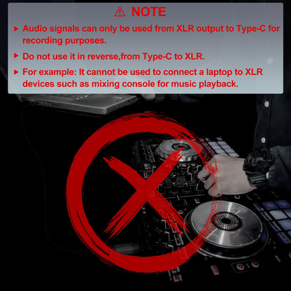 USB Type C to XLR Microphone Audio Cable