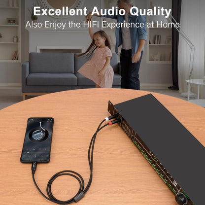 USB Type C to Dual 6.35mm Stereo Splitter Y Cable - 1/4 Inch TS Audio