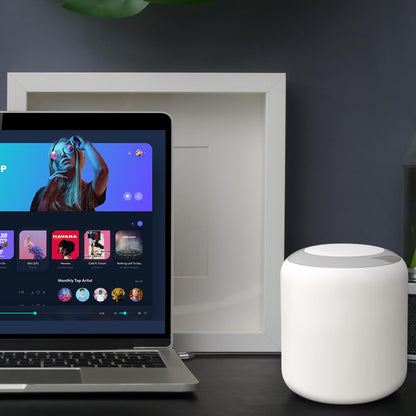 USB Type C to 2 RCA Cable - USB Type-C to 2RCA Male Audio Splitter